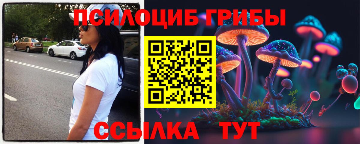 Галлюциногенные грибы Psilocybe Кстово