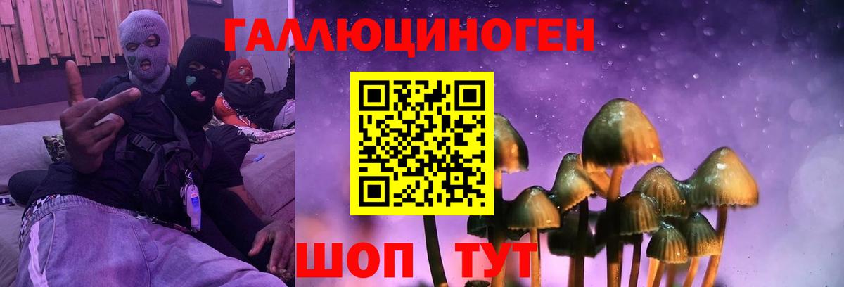 Псилоцибиновые грибы мицелий  Вход с VPN  Кстово 
